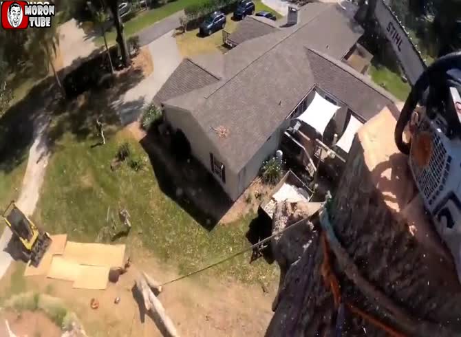 Video :A massive tree trunk is placed on his legs (Warning - frightening)